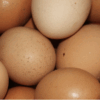 HUEVOS DE GALLINA PONEDORA "COU COU" - Imagen 2