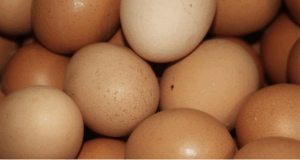 HUEVOS DE GALLINA PONEDORA "COU COU"