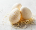 Huevos de PAVA (precio huevo) ¡Novedad!