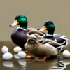 HUEVOS FERTILES DE PATOS KHAKI CAMPBELL - Imagen 3