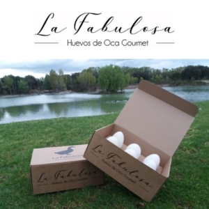 LOTE 24 HUEVOS DE OCA -DE MENOS DE 150 grs (precio por huevo)+ OBSEQUIO 1BOTELLA 500 AOVE VERDELISS