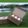 LOTE 24 HUEVOS DE OCA -DE MENOS DE 150 grs (precio por huevo)+ OBSEQUIO 1BOTELLA 500 AOVE VERDELISS - Imagen 3