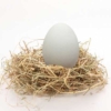 Huevo de oca en nido paja