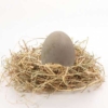 Huevo de pato en nido