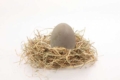 Huevo de pato en nido