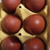 HUEVOS CAMPEROS GALLINA RAZA MARANS - Imagen 2