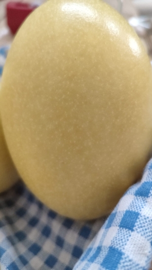 HUEVOS DE ÑANDU