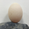 huevo-de-pato-piedra